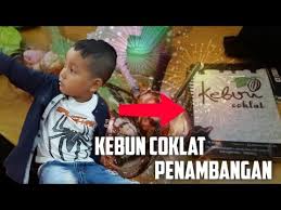 Pariwisata di indonesia merupakan sektor ekonomi penting di indonesia. Kebun Coklat Penambangan Balongbendo Youtube