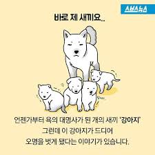 시진핑 ILL HY HL라는 글보고 좋은 정보 하나 드리고 갑니다. | 로아 인벤
