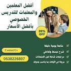 دليل المواقع الشامل