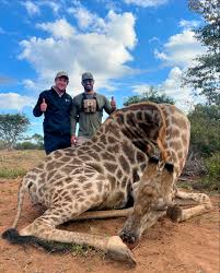 Thomas Pousson (@thomaspousson_) • Instagram photos and videos