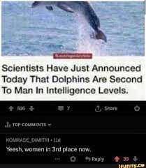 Scientists Have Just Announced Today That Dolphins Are Second To Man In Intelligence Levels Ifunny Funny Memes Memes Funny Animal Memes