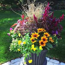 We did not find results for: Subscription Planters Window Boxes For Your Home Or Business Enliven Planters