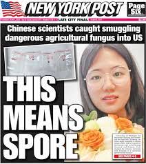 Anthony Pierucci's Instagram, Twitter & Facebook