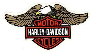 Image result for harley davidson wing