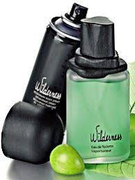 Avon Wilderness Deodorant And Edt Avon