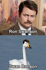 Swan Ronson John Gushue Dot Dot Dot Celebrity Name Puns Ron Swanson Funny Puns