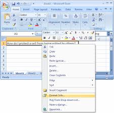 If the review tab is not viewable: Ms Excel 2007 Protect A Cell