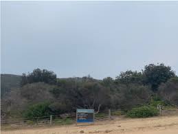 If ignored, trees whose structural stability has been. Tree Removal Northern Beaches Affordable Tree Pruning Trimming Lopping