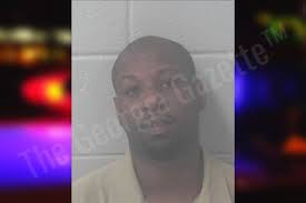 Marquise Nelson: https://thegeorgiagazette.com/newton/marquise-nelson-2/