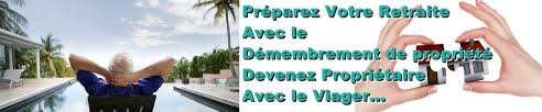 Démembrement de propriété neuf, ancien et marché secondaire. Achat En Nue Propriete Demembrement Usufruit