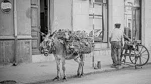 Botijeros, lecheros, afiladores y otras voces al amanecer
