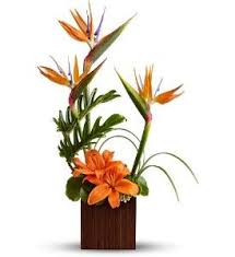 Maybe you would like to learn more about one of these? Send Teleflora S Bamboo Paradise In Coeur D Alene Id Hansen S Florist Tropical Flower Arrangements Modern Flower Arrangements Tropical Floral Arrangements