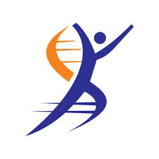 Image result for Transtubular Potassium Gradient