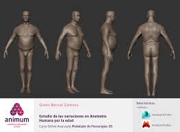 See more ideas about anatomy, anatomy reference, anatomy drawing. Gines Study Of Human Anatomy