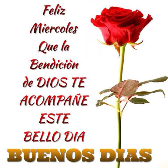 Resultado de imagem para FELIZ MIERCOLES"