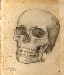 Maybe you would like to learn more about one of these? Skull Of A Skeleton Arttopan Realistic Pencil Sketch Painting Work Painting By Artto Pan