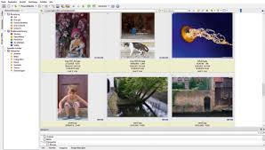Xnview mp is a powerful picture viewer, browser and converter for windows, mac and linux. Software Xnview Mp Foto Hits Magazin