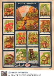 Pin By Coronel On Cromos Album Book Cover Painting