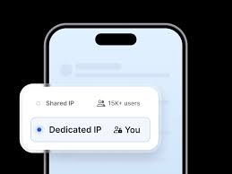 NordVPN Dedicated IP Clean Address Solution