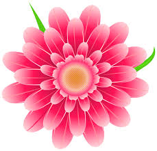 Transparent Pink Flower Clipart Png Image Flower Images Free Flower Clipart Png Flower Clipart