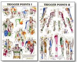 trigger point charts showing the many common referral