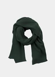 Giant Scarf Solid Women Forest Green Papu