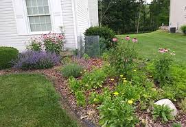 This is not a type of landscape that can be installed over a weekend, says kennedy, but once established, it can sustain itself with very little water and minimal maintenance. Tricia S Home Grown Prairie Garden A Gorgeous Display Of Native Color