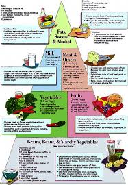 diabetic diet plan anatomy system human body anatomy