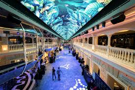 Eine funkelnde Nacht auf der MSC Grandiosa
