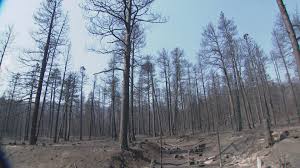 Aspen Acres Fire in Colorado destroys over 800 structures, nearly 100,000 acres burned