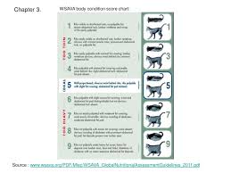 Org over ideal ribs palpable with slight excess fat covering. Ppt Step 1 The Cat S History 1 Has The Cat Had An Opportunity To Catch The Virus 2 Has The Cat Experienced A Stress Powerpoint Presentation Id 1776073