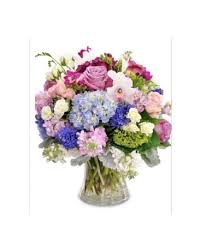 We did not find results for: Cape Cod Kiss In Needham Ma Needham Florist
