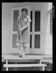 Free Vectors, PNGs, Mockups & Backgrounds