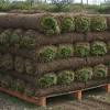 A professional lawn care service that will take complete care of your lawn. 1