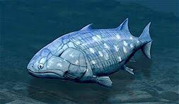 Image result for Sarcophrynium