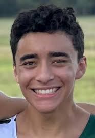 Poll winners for best boys and girls golfers, cross country runners