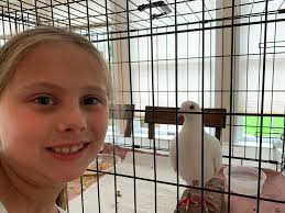 Happy birthday to amazing 's Michelle