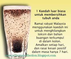Chia seed boleh dimakan tanpa perlu direndam terlebih dahulu tidak seperti biji selasih. Kebaikan Chia Seed Untuk Kurus