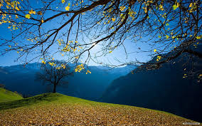 92,000+ vectors, stock photos & psd files. Beautiful Nature Wallpapers Hd Wallpapers Free Download Wallpaperbetter