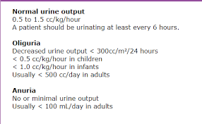 Image result for Urine Output