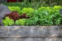 Yes, you should line your raised garden bed, since the pros of doing so outweigh the cons. Should You Line A Raised Garden Bed Read This First Greenupside