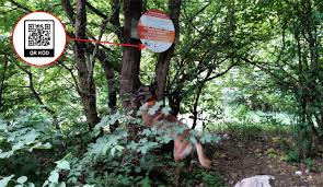 Az elmúlt napokban elrendelt tűzgyújtási tilalom miatt úgy gondoltam, hogy aktuális lesz ez a videó.nem tűzgyújtásra szeretném buzdítani túrázó, kiránduló. Kutyas Kor 7 Km Utvonal Kutyaval Futunk