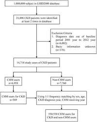 frontiers chinese herbal medicine improves the long term