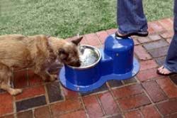 A dog water fountain can be a great way to keep your dog cool and hydrated on hot days. Sturdy Pet Drinking Fountains