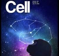 Cell Press (@cellpress) • Instagram photos and videos