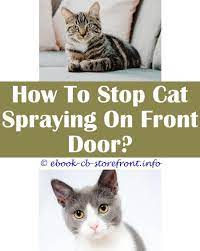 14 Stupefying Cat Stop Spraying After Neuter Admirable