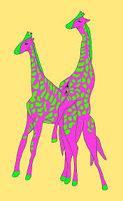 The secret sex life of gay giraffes - Kes Otter Lieffe