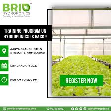 Pin On Hydroponics Training