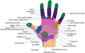 revisiting reflexology concept evidence current practice