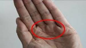 Face referire la durata vieții pe pământ. Si Tu PoÅ£i Citi In PalmÄƒ Ce Mesaje Ascunde Linia VieÅ£ii Sau Linia Inimii